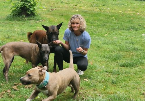 Janine Treffers met honden